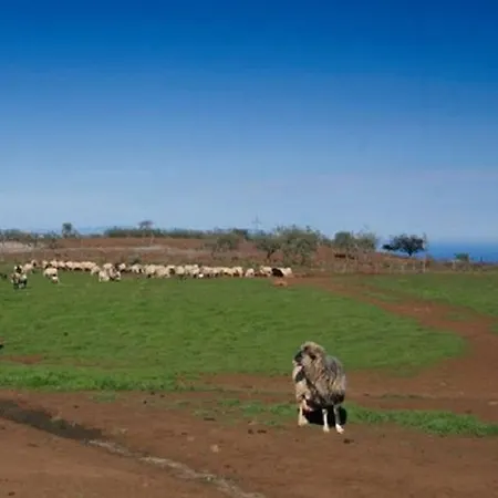 Vila Tranquil La Cabaa Gáldar